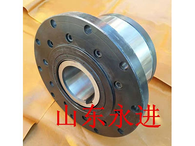 CKZF-D非接触式超越离合器